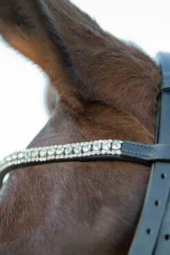 Horze Laelia Kandarenzaum -Reitsportbedarf Verkäufe 2024 10001 BL 03