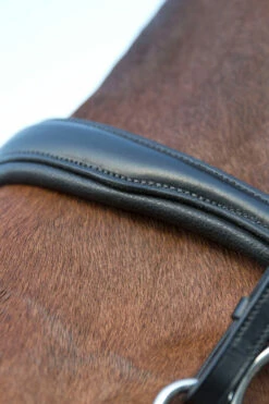 Horze Laelia Kandarenzaum -Reitsportbedarf Verkäufe 2024 10001 BL 04