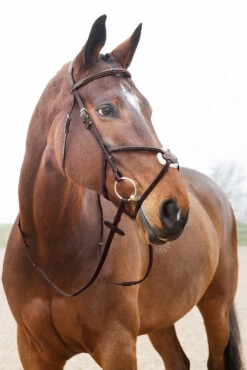 Horze Prescott Mexikanische Trense -Reitsportbedarf Verkäufe 2024 10012 BR 03