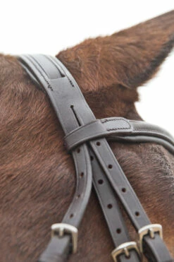 Horze Prescott Mexikanische Trense -Reitsportbedarf Verkäufe 2024 10012 BR 05