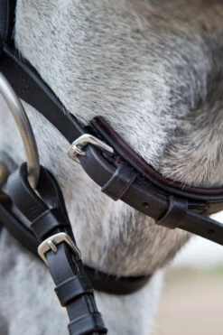 Horze Weston Trense 16 Horze Weston Trense -Reitsportbedarf Verkäufe 2024 10017 BR 04