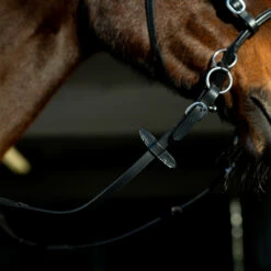 Horze Gebisslose Trense -Reitsportbedarf Verkäufe 2024 10081 BL 6