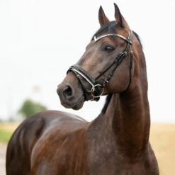 Horze Grayson Anatomische Trense -Reitsportbedarf Verkäufe 2024 10084 BL 1