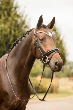 Horze Grayson Anatomische Trense -Reitsportbedarf Verkäufe 2024 10084 BL BL 4