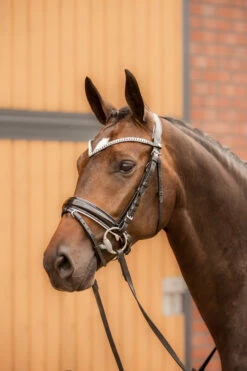 Horze Grayson Anatomische Trense -Reitsportbedarf Verkäufe 2024 10084 BL WH 4