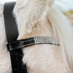 Horze Pony Trense -Reitsportbedarf Verkäufe 2024 10104 BL WH 2