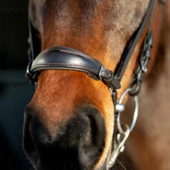 Horze Bergen Remont Trense -Reitsportbedarf Verkäufe 2024 10109 BR 3