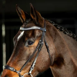 Horze Bergen Remont Trense -Reitsportbedarf Verkäufe 2024 10109 BR 4