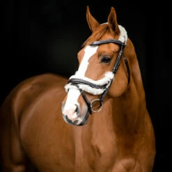 Horze Rome Anatomische Trense -Reitsportbedarf Verkäufe 2024 10118 DBR 3