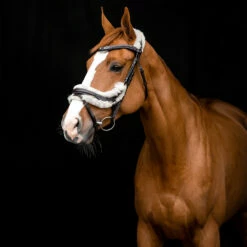 Horze Rome Anatomische Trense -Reitsportbedarf Verkäufe 2024 10118 DBR 4