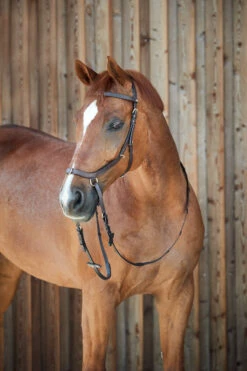 Horze Orlando Anatomische Kombinierte Gebisslose Trense -Reitsportbedarf Verkäufe 2024 10125 BR 5