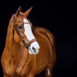 Horze Positano Anatomische Hannoveranische Trense 15 Horze Positano Anatomische Hannoveranische Trense -Reitsportbedarf Verkäufe 2024 10126 BR 2