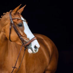 Horze Positano Anatomische Hannoveranische Trense 16 Horze Positano Anatomische Hannoveranische Trense -Reitsportbedarf Verkäufe 2024 10126 BR 3