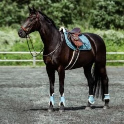 Horze Positano Anatomische Hannoveranische Trense 17 Horze Positano Anatomische Hannoveranische Trense -Reitsportbedarf Verkäufe 2024 10126 BR 4