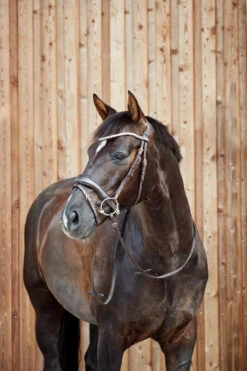 Horze Somerset Anatomische Trense -Reitsportbedarf Verkäufe 2024 10156 DBR 4