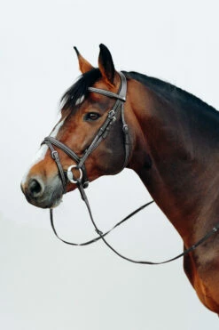 Horze Buxton Anatomische Trense Mit Zügeln -Reitsportbedarf Verkäufe 2024 10158 BL 3