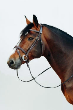 Horze Buxton Anatomische Trense Mit Zügeln -Reitsportbedarf Verkäufe 2024 10158 BR 3