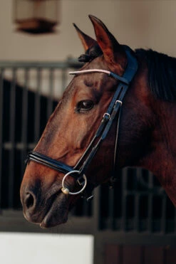 Horze Munich Stirnriemen Mit Strasssteinen -Reitsportbedarf Verkäufe 2024 10162 rtpi 02