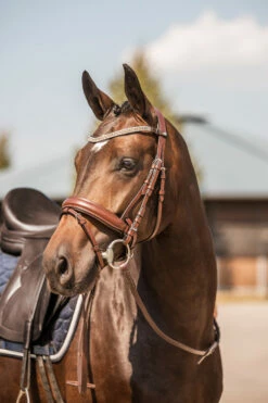 Horze Columbia Stirnriemen Mit Kristallen -Reitsportbedarf Verkäufe 2024 10169 BR GO 4
