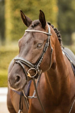 Horze Nancy Stirnriemen Mit Kristallen Und Flechtdetail -Reitsportbedarf Verkäufe 2024 10170 bl rgo 05