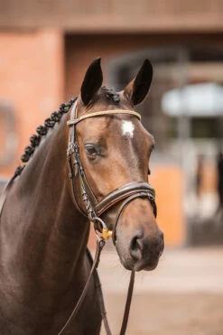 Horze Nancy Stirnriemen Mit Kristallen Und Flechtdetail -Reitsportbedarf Verkäufe 2024 10170 br rgo 04