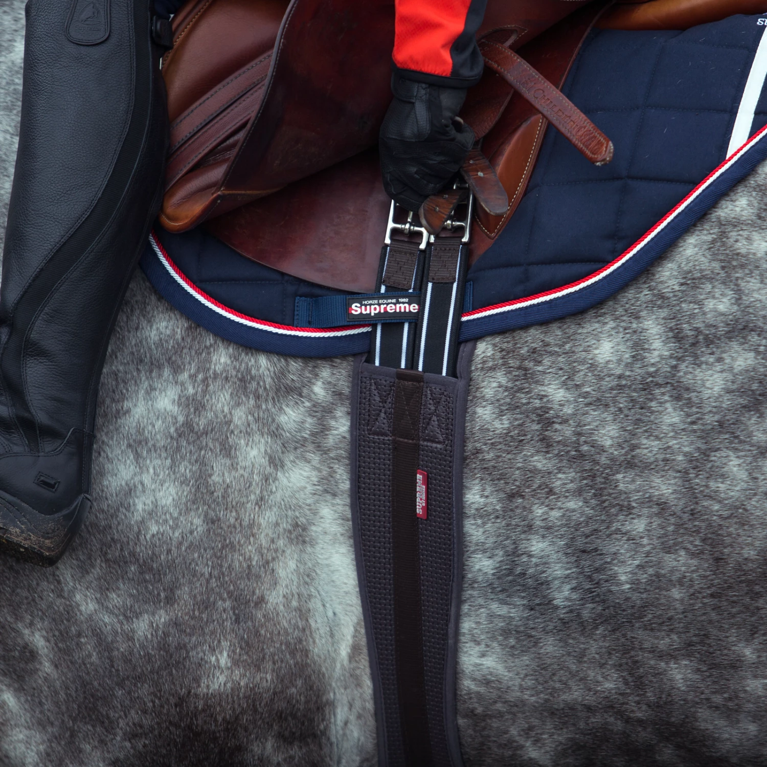 Horze Dallas Langgurt 6 Horze Dallas Langgurt – Bild 4