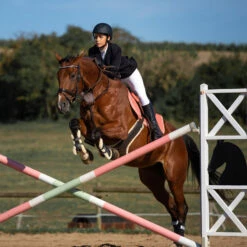 Horze Atlanta Stollenschutz-Sattelgurt Mit Fleecefutter -Reitsportbedarf Verkäufe 2024 14677 DBR 3