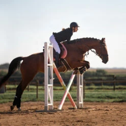 Horze Atlanta Stollenschutz-Sattelgurt Mit Fleecefutter -Reitsportbedarf Verkäufe 2024 14677 DBR 4