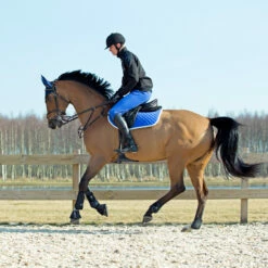 Horze Chooze Vielseitigkeitsschabracke -Reitsportbedarf Verkäufe 2024 17000 LLB 2