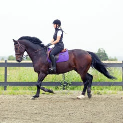 Horze River Vielseitigkeitsschabracke -Reitsportbedarf Verkäufe 2024 17014 PU PU 2