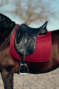 Horze Phoenix Dressurschabracke -Reitsportbedarf Verkäufe 2024 17295 adpi 04