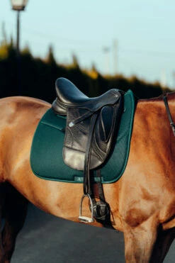 Horze Phoenix Dressurschabracke -Reitsportbedarf Verkäufe 2024 17295 stgr 04