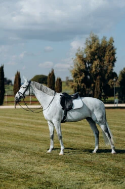 Horze Kühlende Vielseitigkeitsschabracke -Reitsportbedarf Verkäufe 2024 17307 PBG 3