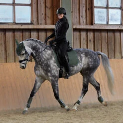 Horze Adepto Vielseitigkeitsschabracke -Reitsportbedarf Verkäufe 2024 17343 BKGR 7