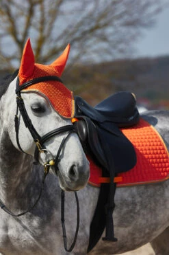 Horze Adepto Vielseitigkeitsschabracke -Reitsportbedarf Verkäufe 2024 17343 cgo 04