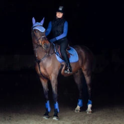 Horze Glarus Dressurschabracke Mit Metallischem Flechtdetail -Reitsportbedarf Verkäufe 2024 17397 MLNB 2