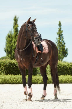 Horze Coventry Dressurschabracke -Reitsportbedarf Verkäufe 2024 17417 CPI 3