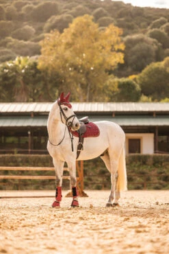 Horze Kenya Vielseitigkeitsschabracke -Reitsportbedarf Verkäufe 2024 17444 251 06