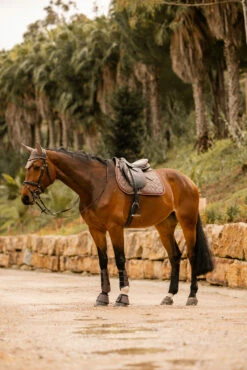 Horze Kenya Vielseitigkeitsschabracke -Reitsportbedarf Verkäufe 2024 17444 753 07