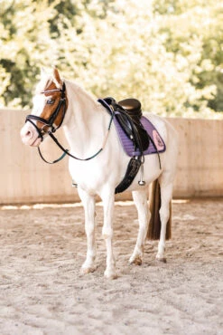 Horze Magic Carousel Vielseitigkeitsschabracke Für Ponys -Reitsportbedarf Verkäufe 2024 17461 433 06