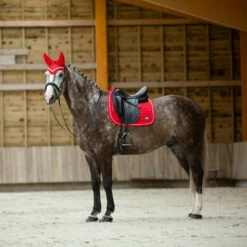 B Vertigo Raxus Fliegenhaube -Reitsportbedarf Verkäufe 2024 22862 LPPI 4