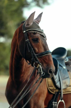 B Vertigo Drew Fliegenhaube -Reitsportbedarf Verkäufe 2024 22931 UBBR 3