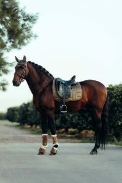 B Vertigo Drew Fliegenhaube -Reitsportbedarf Verkäufe 2024 22931 UBBR 4