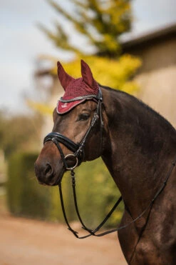 Horze Leighton Teens Collection Fliegenhaube -Reitsportbedarf Verkäufe 2024 22942 rrbr 03