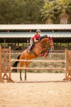 Horze Kenya Fliegenhaube -Reitsportbedarf Verkäufe 2024 22947 251 07