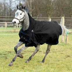 Horze Avalanche Regendecke Mit Hohem Hals, 150g -Reitsportbedarf Verkäufe 2024 24047 BL 1