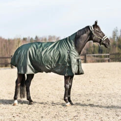 Horze Avalanche Regendecke Mit Hohem Hals, 150g -Reitsportbedarf Verkäufe 2024 24047 FNGR DGG 2