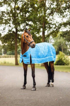 Horze Quebec Liner, 50g -Reitsportbedarf Verkäufe 2024 24049 531 06