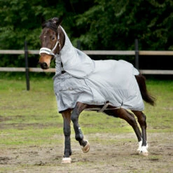 Horze Nevada 600D Regendecke, 0g -Reitsportbedarf Verkäufe 2024 24056 LRG 2