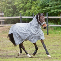 Horze Nevada 600D Regendecke, 0g -Reitsportbedarf Verkäufe 2024 24056 LRG 3